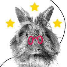 lapin avec des petites lunettes