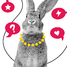 Un lapin avec un collier jaune et des bulles de paroles