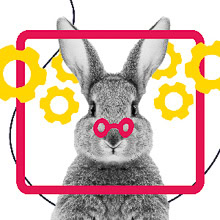 Lapin avec des roues crantées jaunes