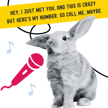 Lapin qui chante call me maybe