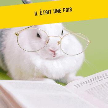 lapin qui lit un livre