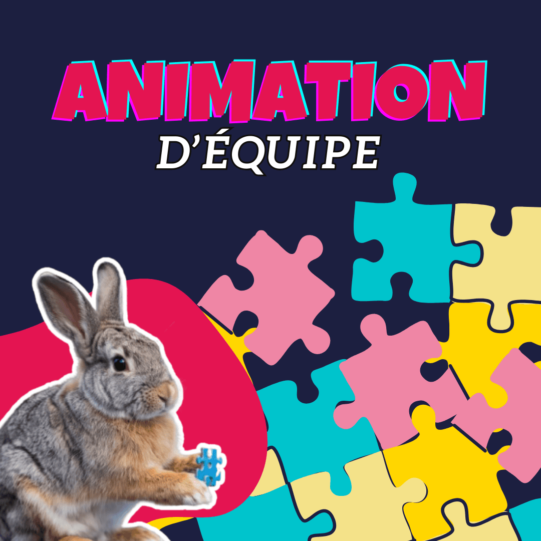 lapin devant des pièces de puzzle