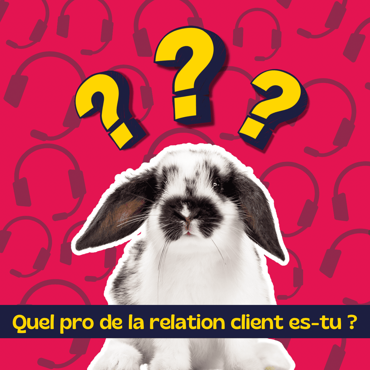 Lapin avec des points d’interrogation